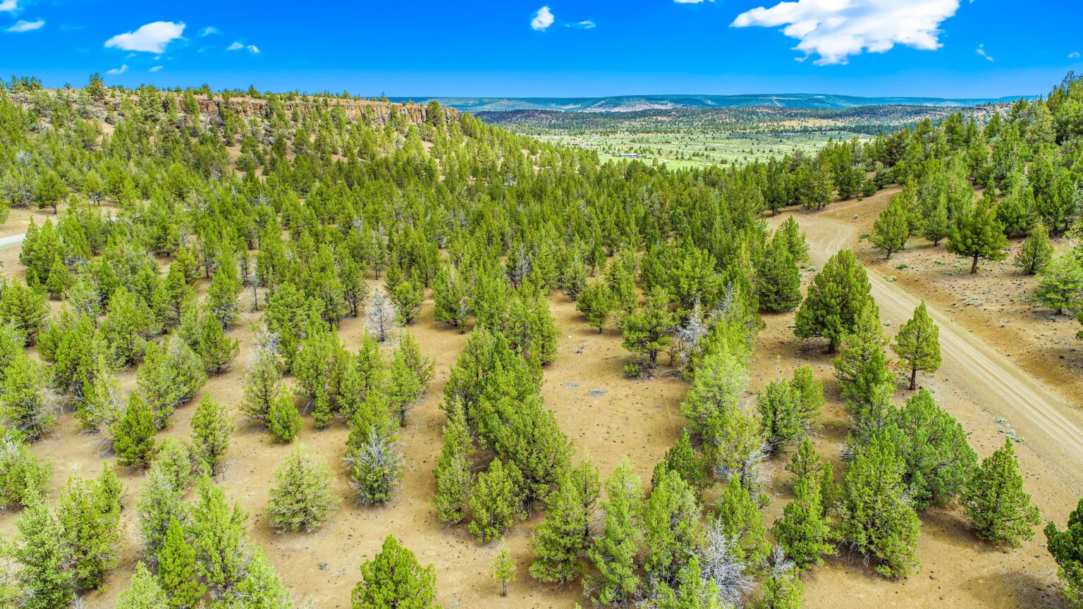 California Pines, CA 96101 Modoc County USA Land Sales