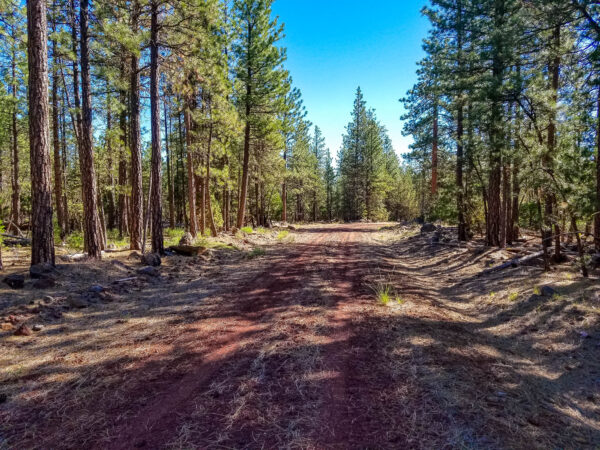 Acomia Rd, Cal Pines, CA 96101 - Modoc County - Image 2