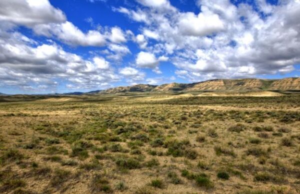 0.13 Acres Lot California Pines, CA 96101 - Modoc County - Image 3