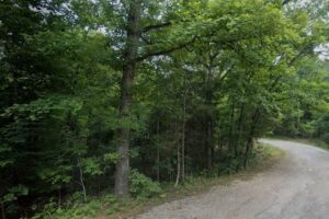 Large 0.44 Acreage Cherokee Village Lot, AR 72529 - Sharp County