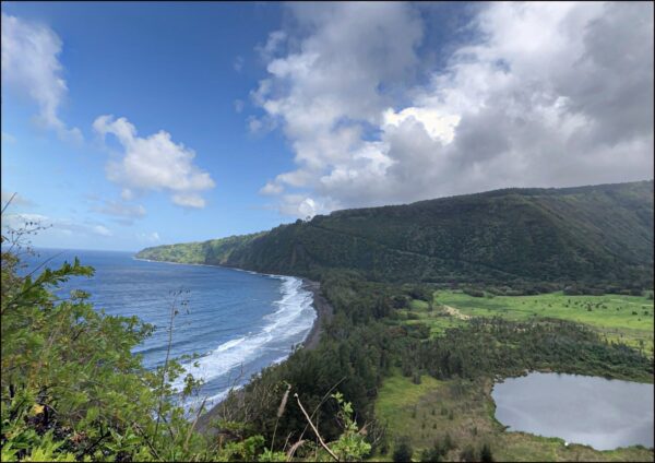 0.1846 Acres In Pahoa, HI 96778 - Hawaii County - Image 3