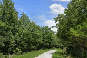 Double Lot! 0.56 Acres Cherokee Village, AR 72529 - Fulton County