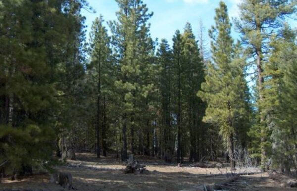 1.69 Acres Alturas, CA 96101 Modoc County - Image 4