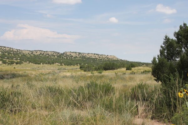 0.19 Acres Pueblo, CO 81005 - Pueblo County - Image 4