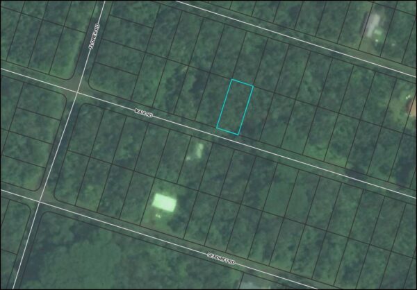 0.1846 Acres In Pahoa, HI 96778 - Hawaii County - Image 5