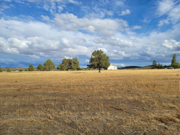 Northern California Modoc County 0.14 Acre Lot! - Image 7