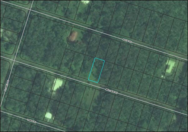 0.1846 Acres In Pahoa, HI 96778 - Hawaii County - Image 4