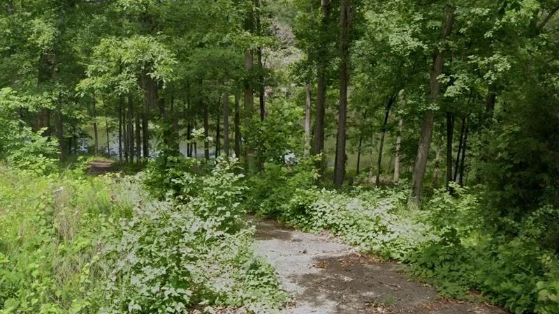 Arkansas Undeveloped Land for Sale in Cherokee Village